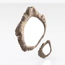 Organic Bronze Irregular Wall Mirror Set Decorative 3D Model Right 45 Degree View