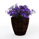 null Right 45 Degree View