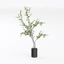 null Left 45 Degree View