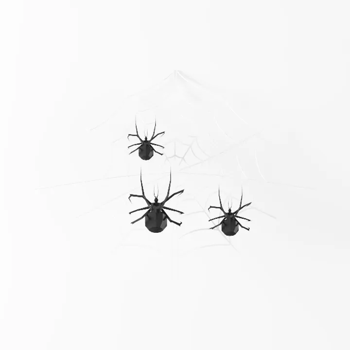 Halloween Spider Web Decorations