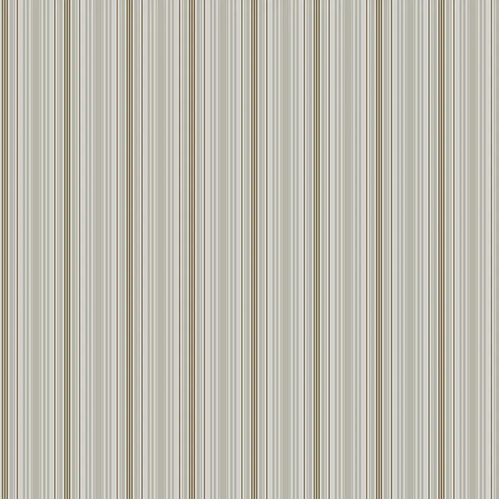 Plain_42