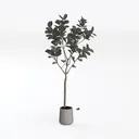 Minimalist Artificial Potted Fiddle Leaf Fig Tree 3D Model Left 45 Degree View