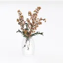 null Left 45 Degree View