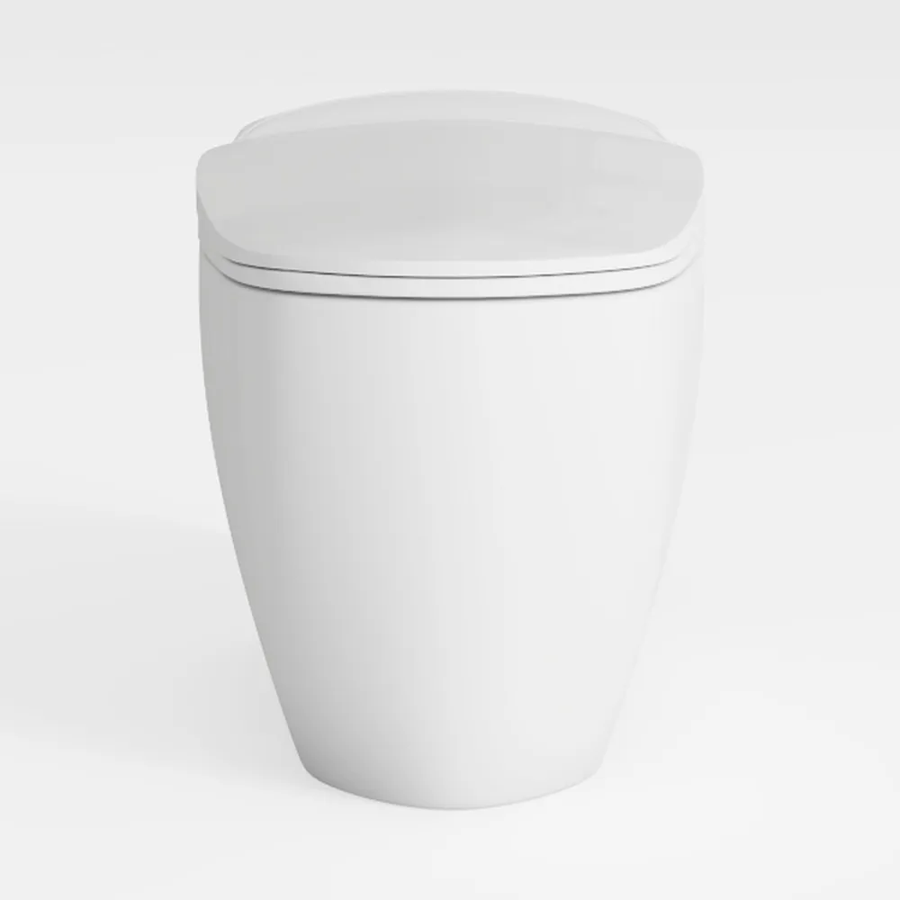 DeerValley Smart Toilet with Bidet Built in, Tankl