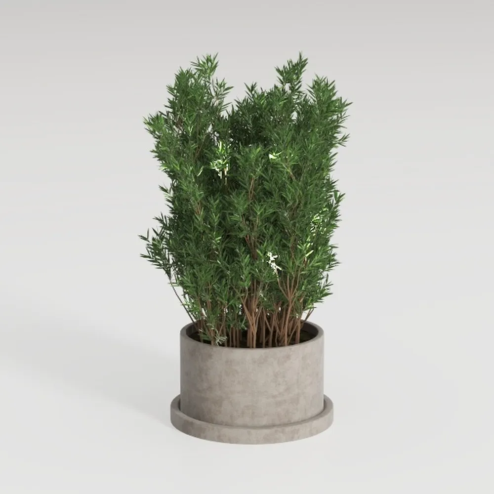 Vintiquewise Water Hyacinth Round Floor Planter 
