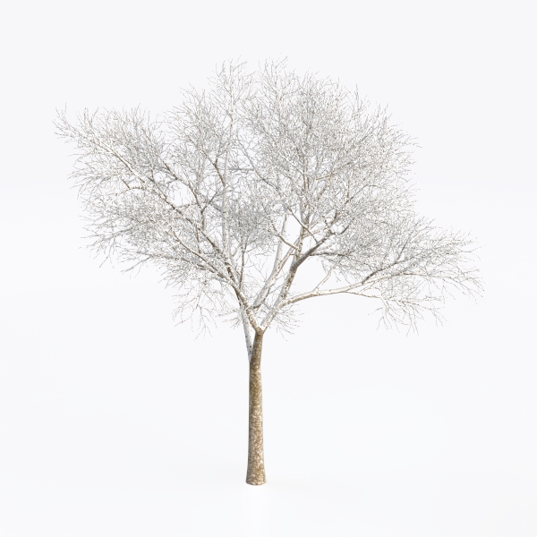 tree-Landscape Greenery