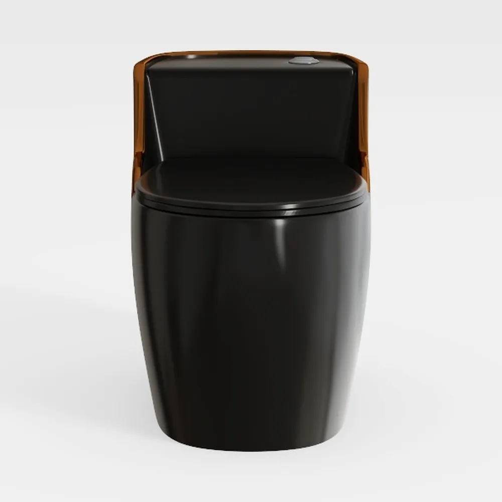 WinZo WZ5080BS Modern One Piece Toilet Dual Flush