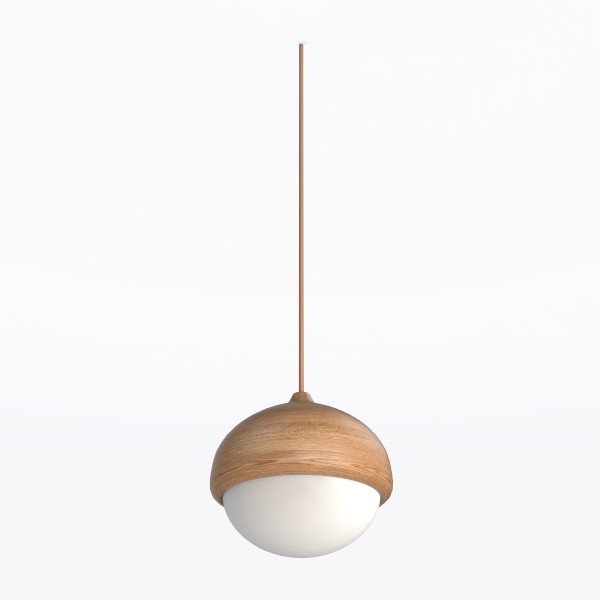 Pendant Light 452