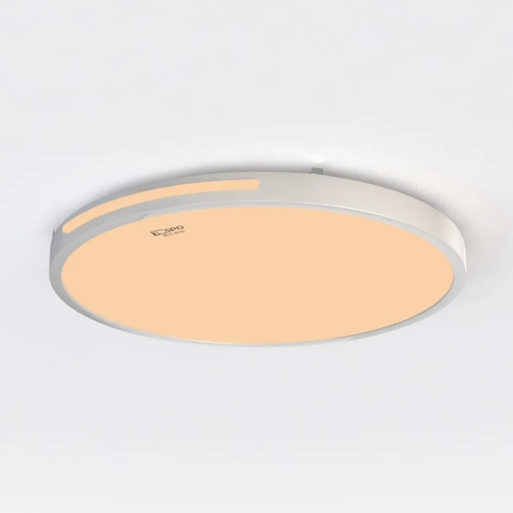 TALOYA 18 Inch Flush Mount Led Ceiling Light