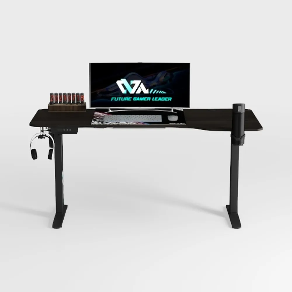 Huuger 55 x 28 Large Electric Standing Desk