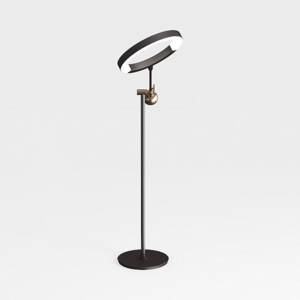 Black Functional Floor Lamp from The Aptos