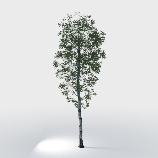 Artificial Olive Tree 7FT Tall Faux Olive Tree
