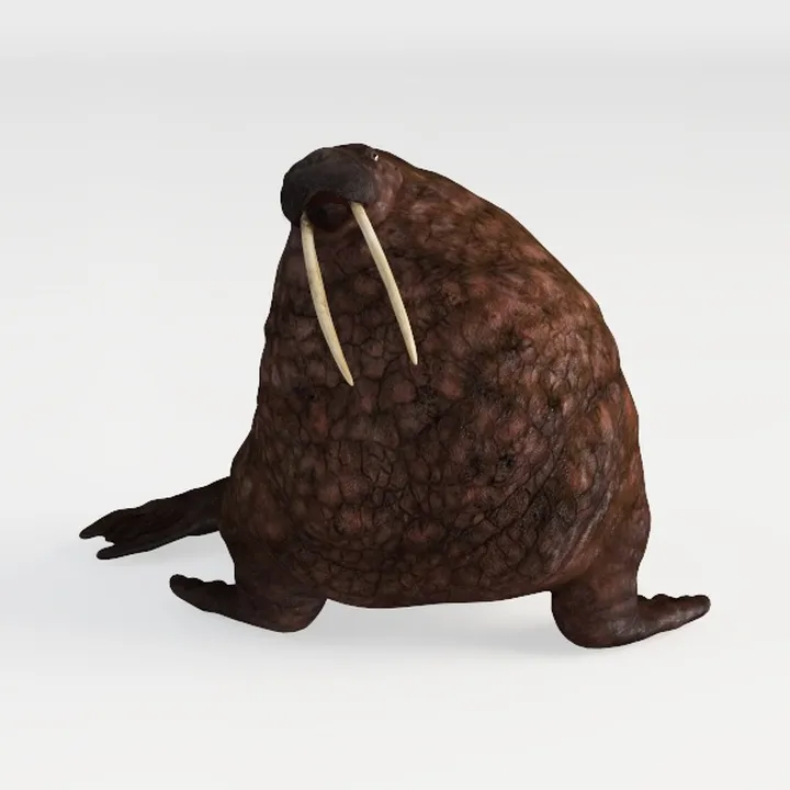 sea lion-Wild Kingdom