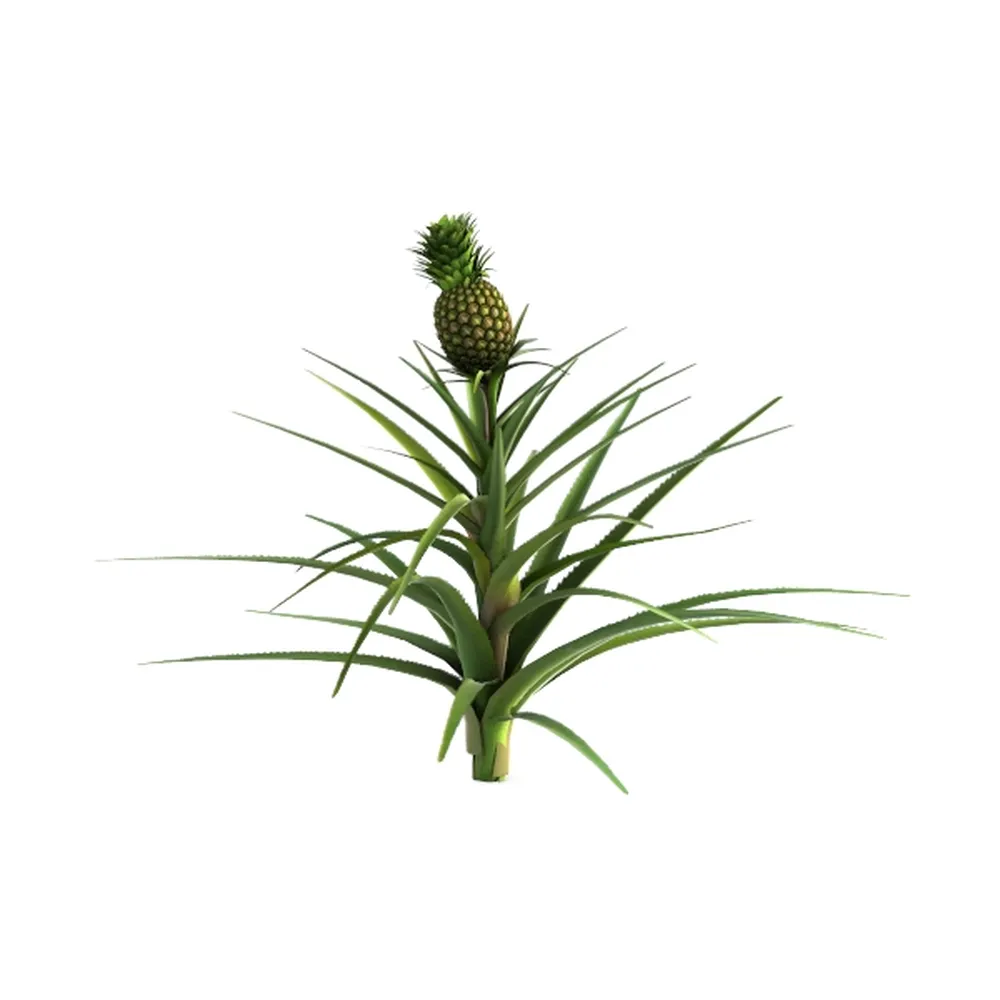 Artificial Plants, 5 Ft Dracaena Tree Faux Plants