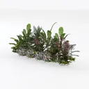 perennial border-Cozy Garden Left 45 Degree View