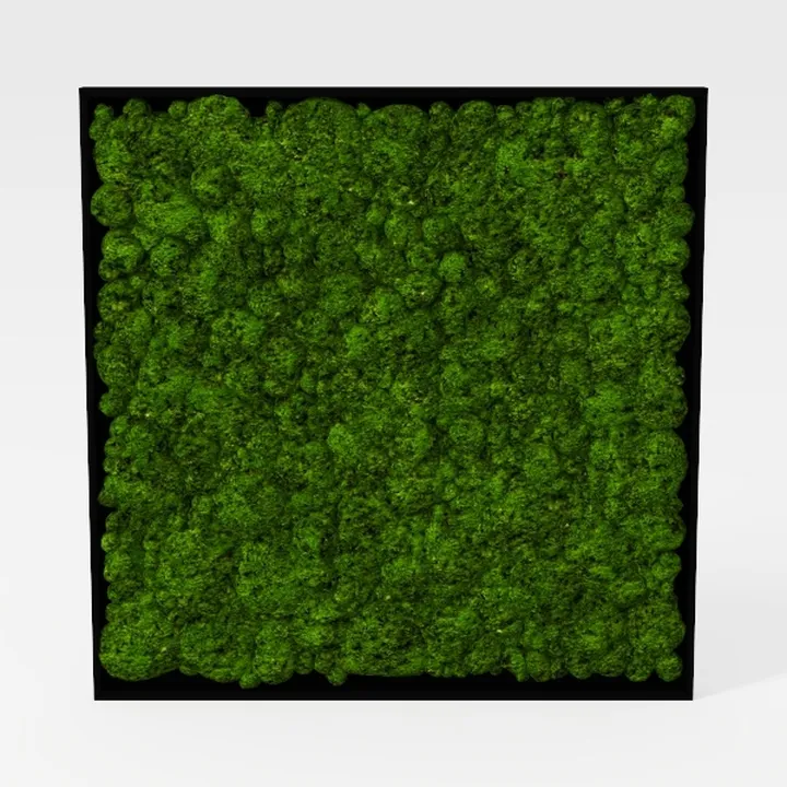 Minimalist Preserved Moss Wall Art Panel 3D Model
