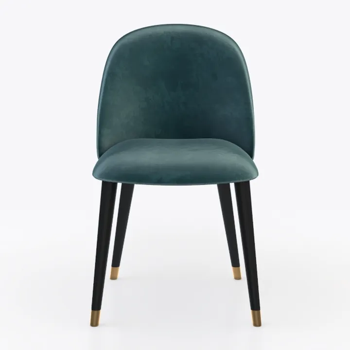 Pemberly Row Modern Velvet Side Chair (Set of 2)