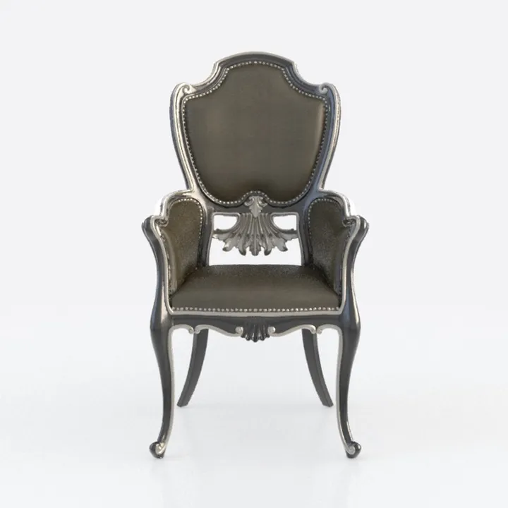 Natalia Gray Cushioned Dining Arm Chair (set of 2)