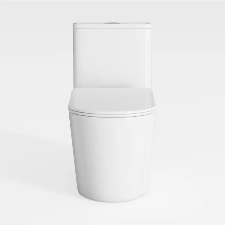 Minimalist White Ceramic One Piece Toilet 3D Model