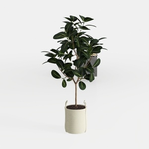 Minimalist Faux Potted Floor Plant with Woven Cotton Basket 3D Model