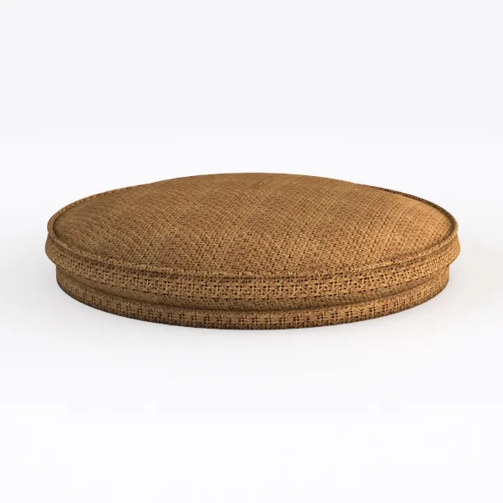 Cushion