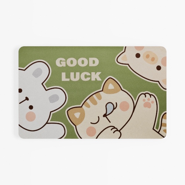 carpet-Entry Elegance