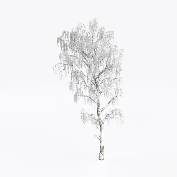 snow tree-Landscape Greenery