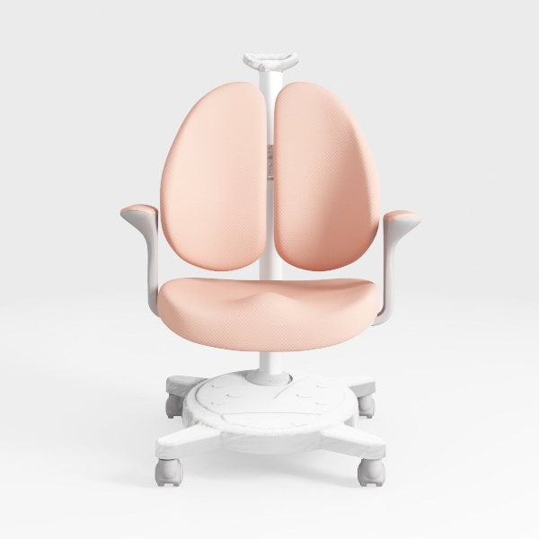 FLEXISPOT Foldex Ergonomic Office Chair, Folding C