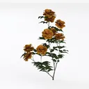 Realistic Orange Floral Potted Plant 3D Model Left 45 Degree View
