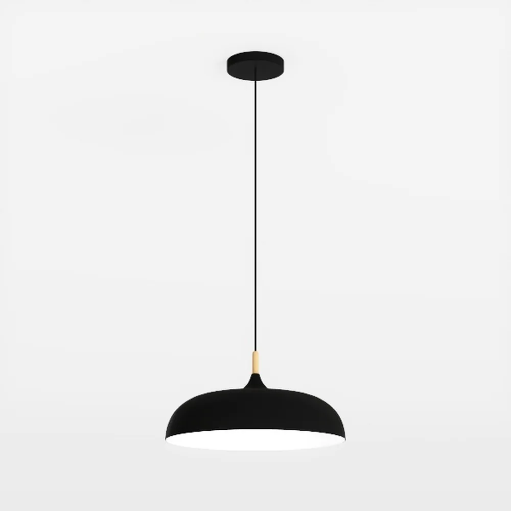 Black Pendant Light, 2 Packs 9.4inch Farmhouse