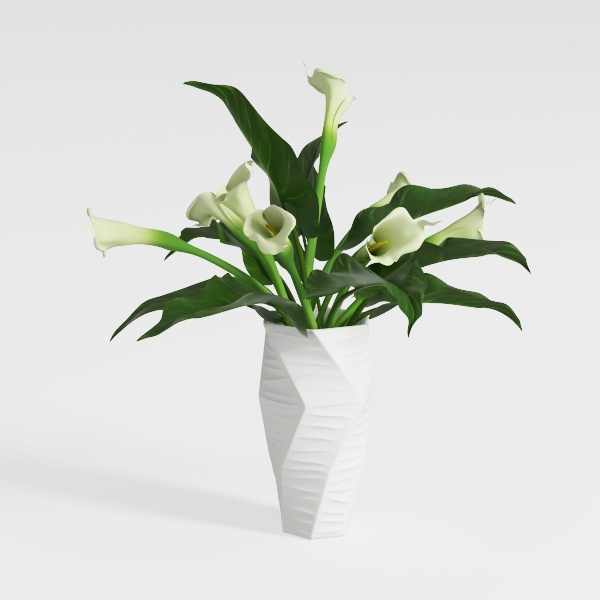 Designer Plant-79