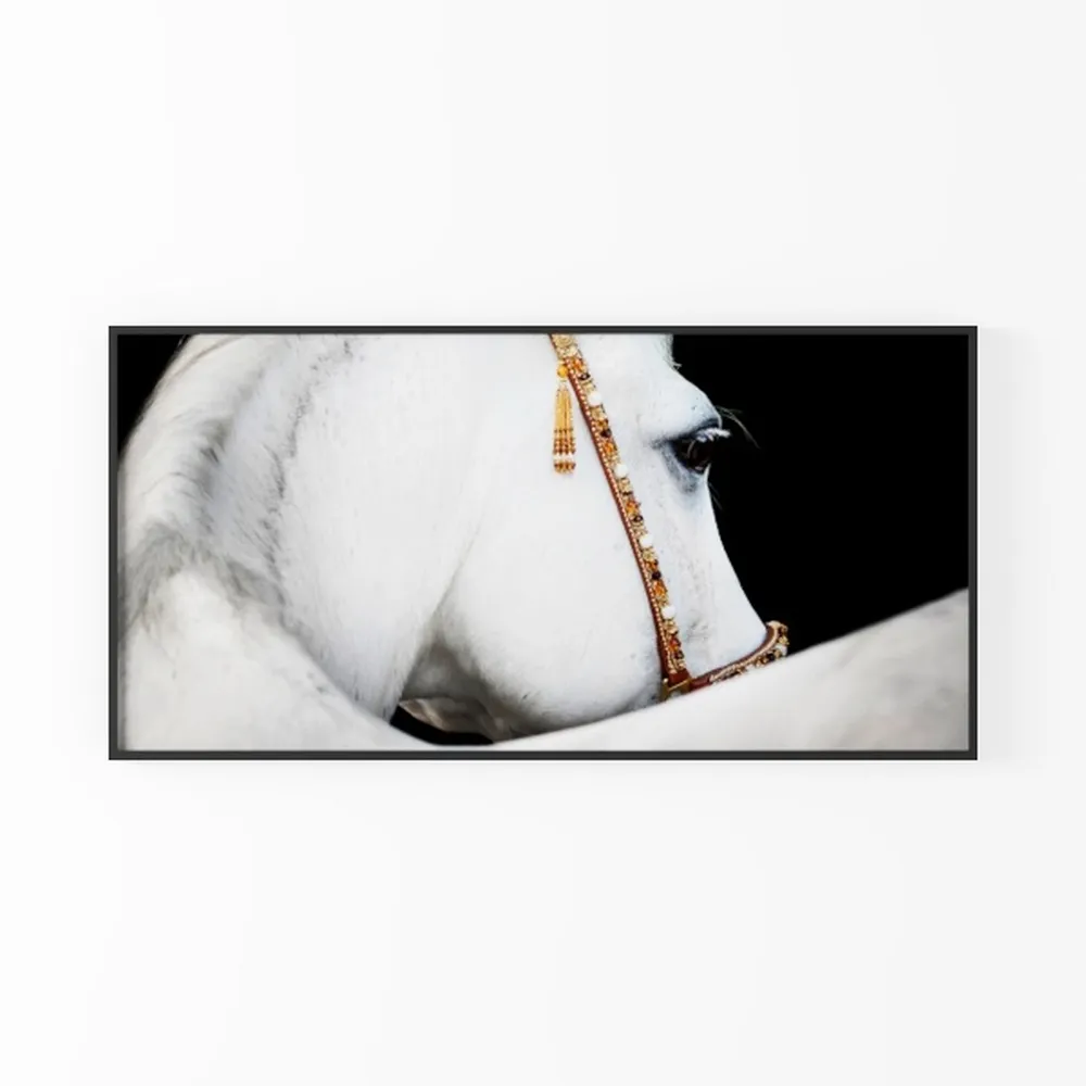 Simple Decorative Pictures Modern Home Decor 58x29