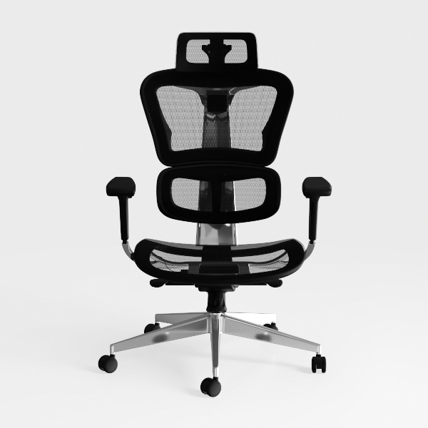 Ergonomic Mesh Office Chair with Footrest, Big and