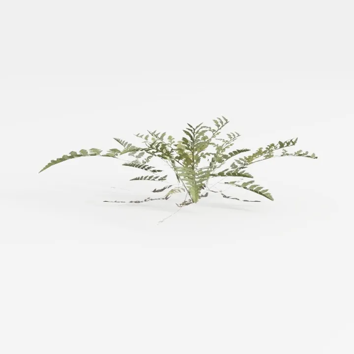 Realistic Green Fern Plant 3D Model