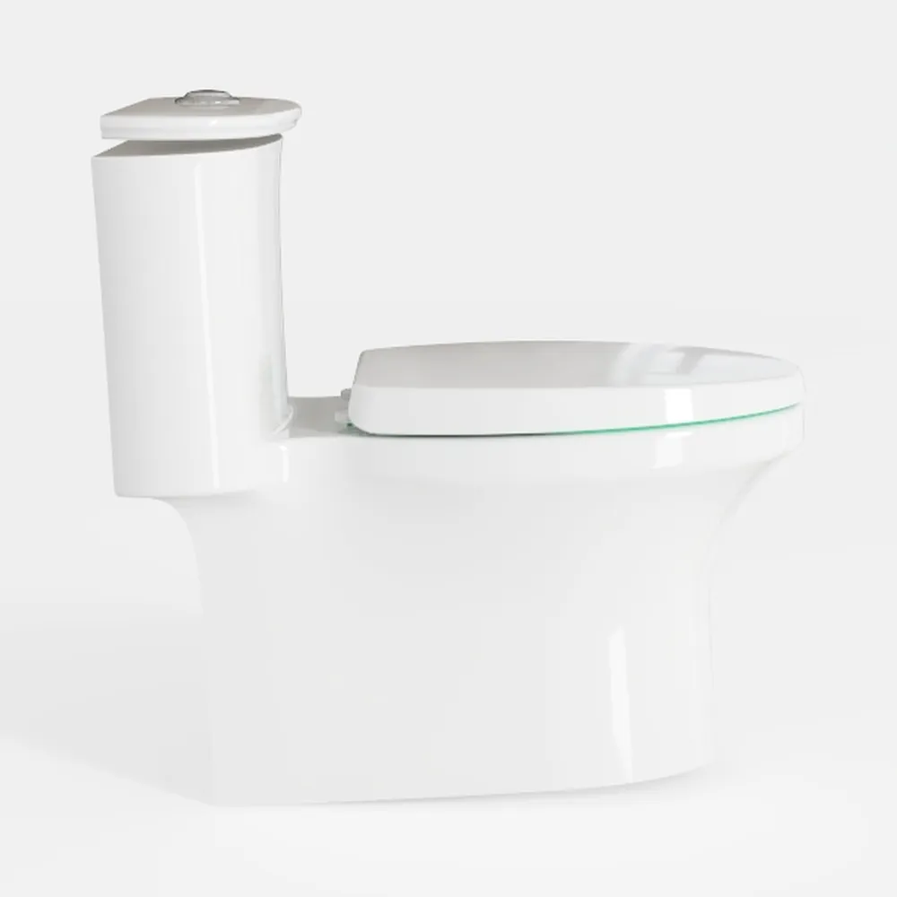 Simple Project Macerating Toilets System with 600w