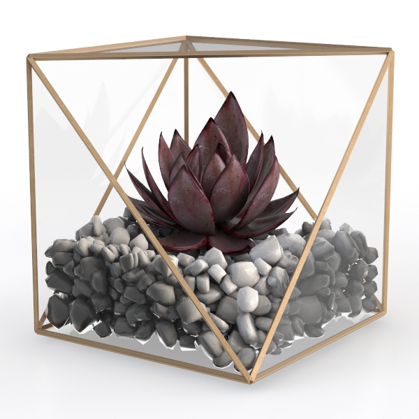 Geometric Terrarium_Campfire