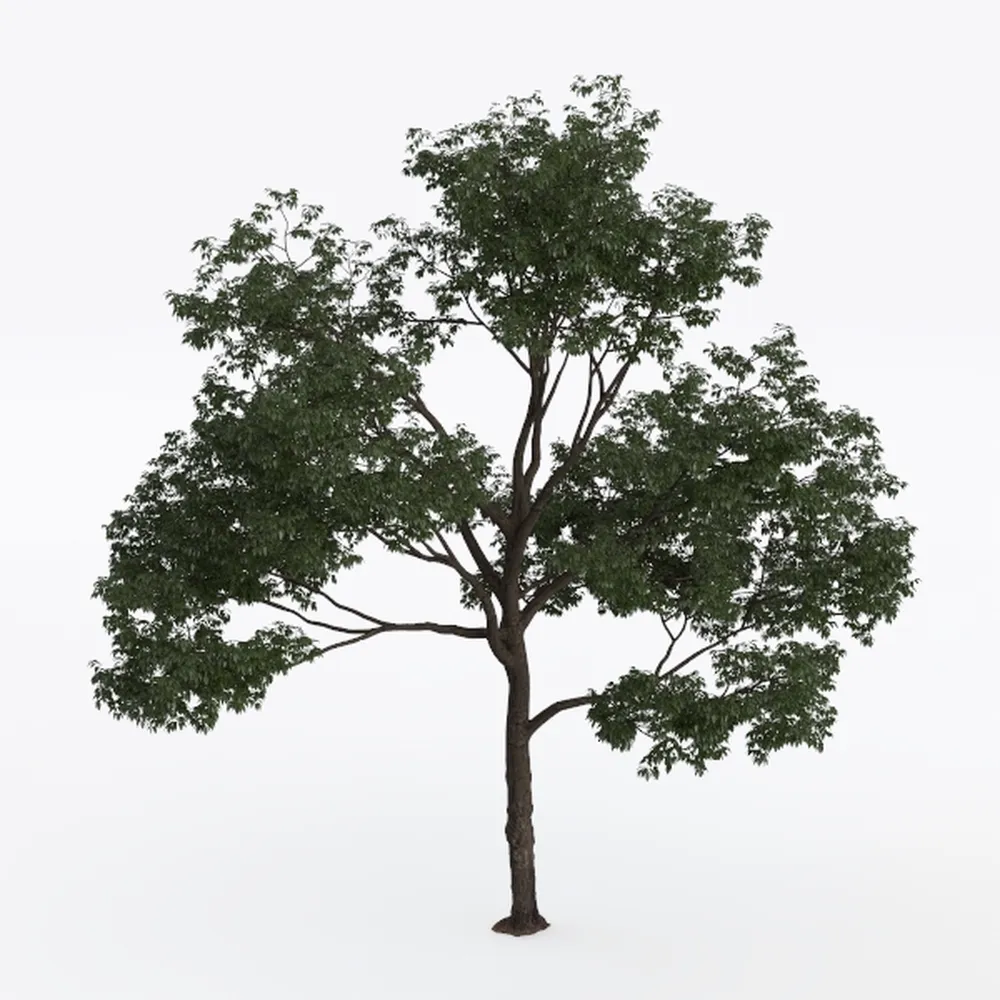 Artificial Palm Tree 5FT - Fake Tree with White