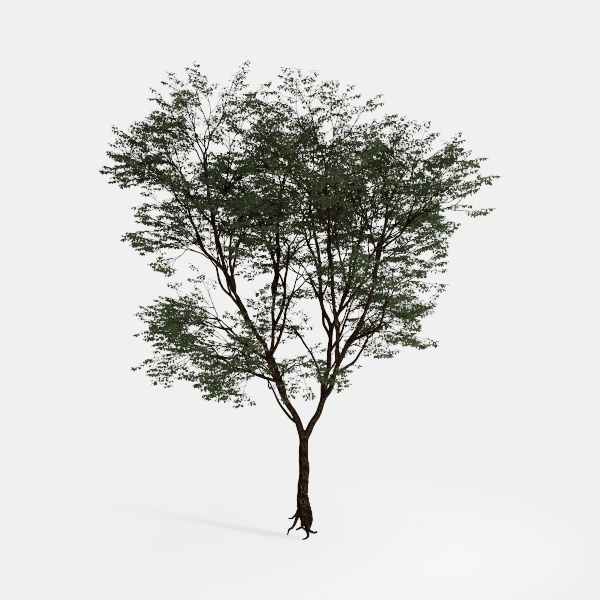 Faux Olive Tree 8ft (96") - 8ft Tall Fake Olive