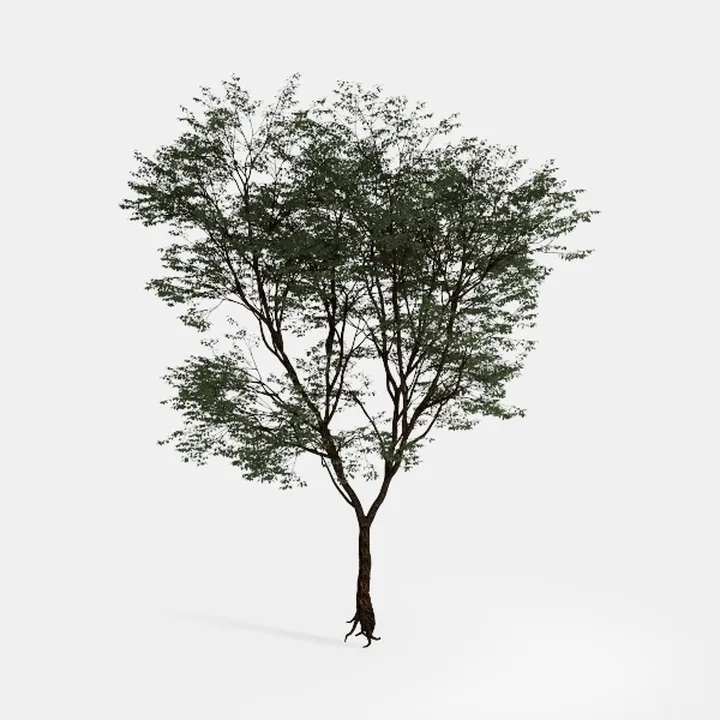 Faux Olive Tree 8ft (96") - 8ft Tall Fake Olive