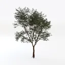 Faux Olive Tree 8ft (96") - 8ft Tall Fake Olive Left 45 Degree View