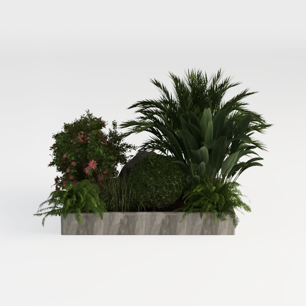 model review img 1