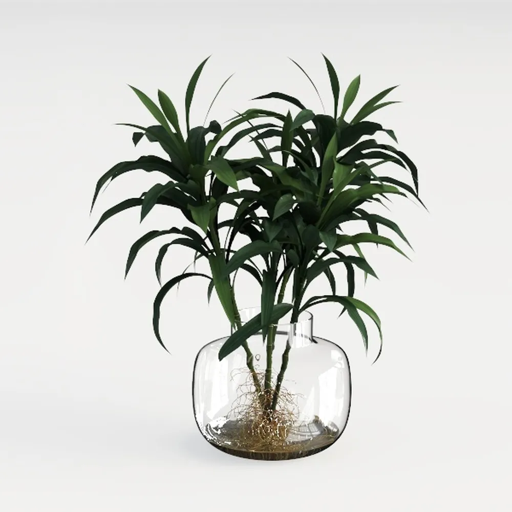 Plant Propagation Station,Hydroponic Glass