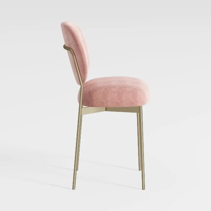 1 Pcs Soft Velvet Dining Chair,Modern Simplicity