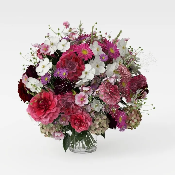 Red Dwaft Ixora Live Plant, 4 Inc to 7 Inc Tall