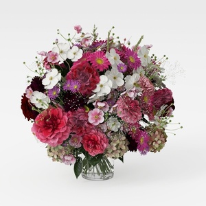 Red Dwaft Ixora Live Plant, 4 Inc to 7 Inc Tall