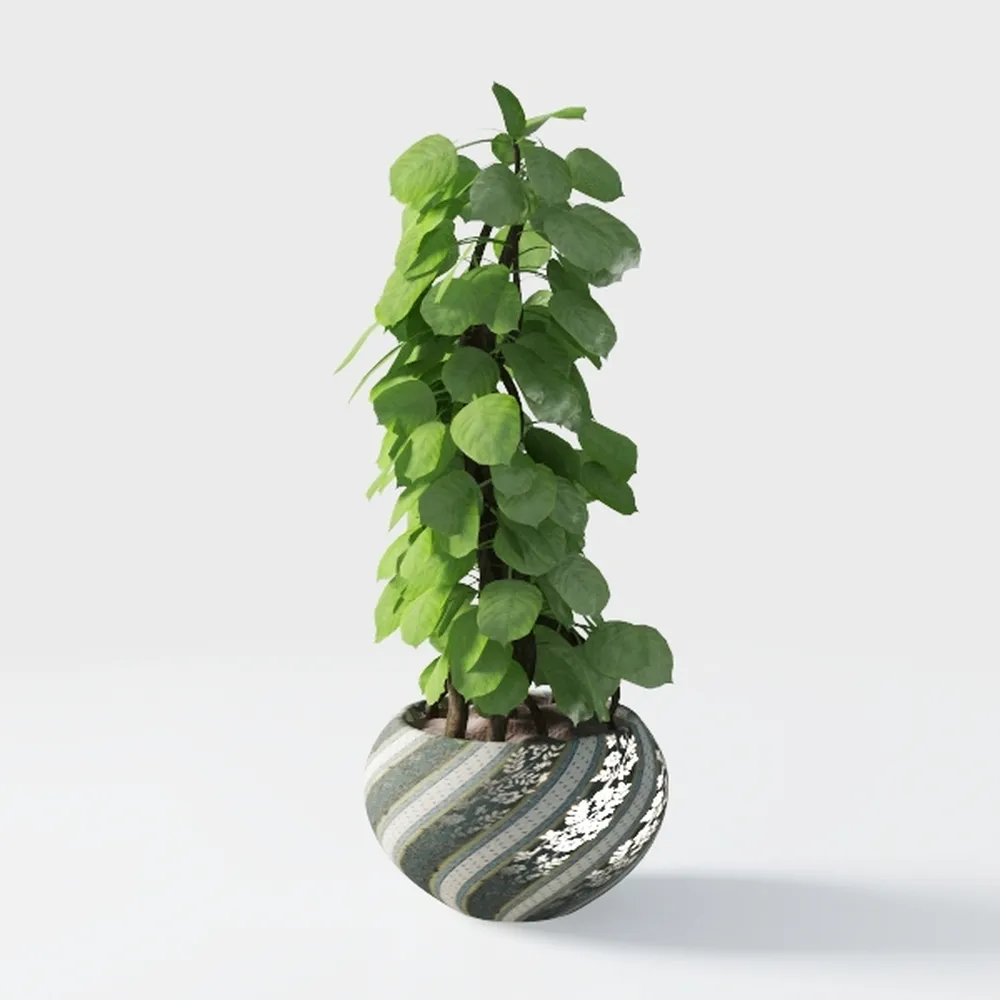 Costa Farms Boston Fern Live Plant, Outdoors or