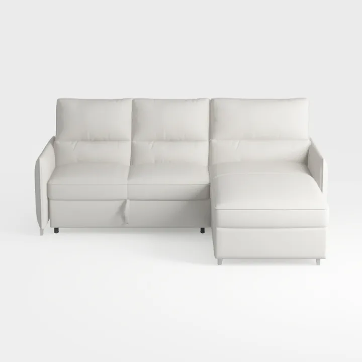 Convertible Sectional Couches for Living Room, L-S