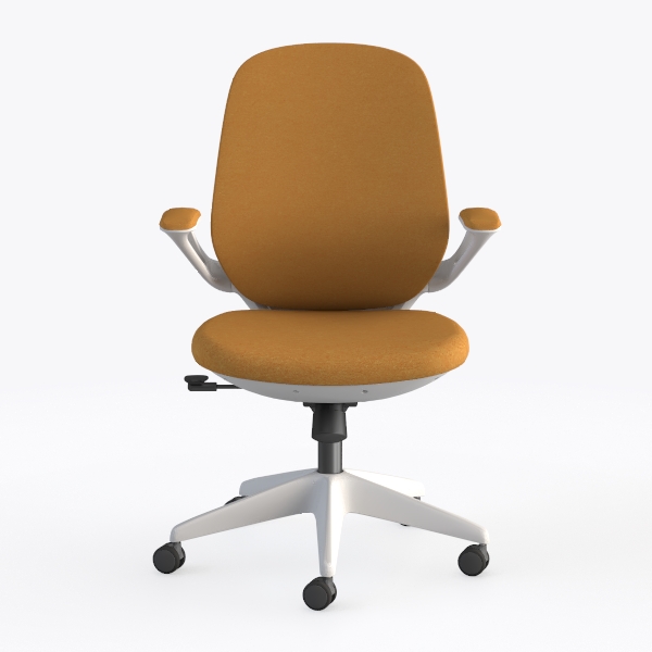 Ergonomic Office Chair with Adjustable Height, Fix