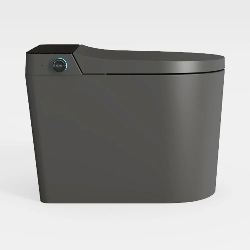 Smart Toilet,Tankless Toilets Dynamic Clean with