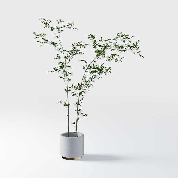 playful time-decoration 43.max